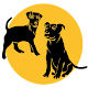 Download Dog Training! exercises, tricks and information For PC Windows and Mac 1.0