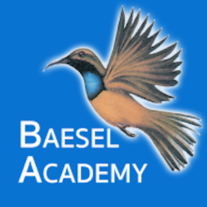 Download Baesel Academy For PC Windows and Mac