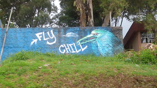 Mural Fly Chill