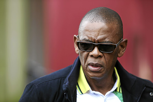 The alliance council's joint statement was penned by ANC secretary-general Ace Magashule, SACP deputy general secretary Solly Mapaila and Cosatu general secretary Bheki Ntshalintshali.