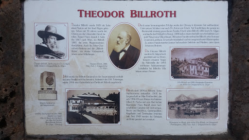 Theodor Billroth Schautafel