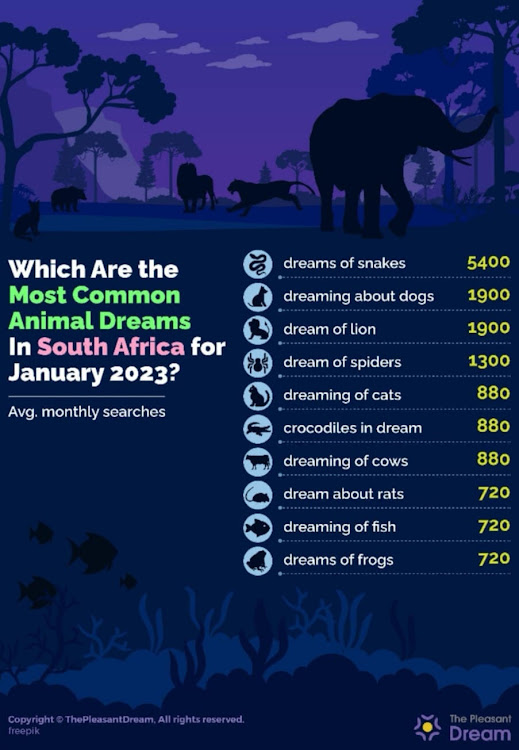 Google data reveals what animals South Africans are dreaming about, snakes being the most common.