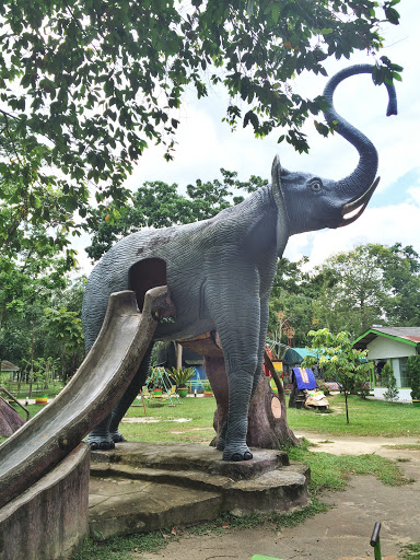 Giant Elephant Sliding