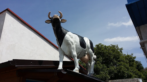 Cow Sculpture 