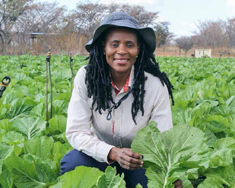 Dr Ethel Zulu is leading from the front on her farm where she grows organic vegetables and free-range chickens she supplies to the established supermarkets.