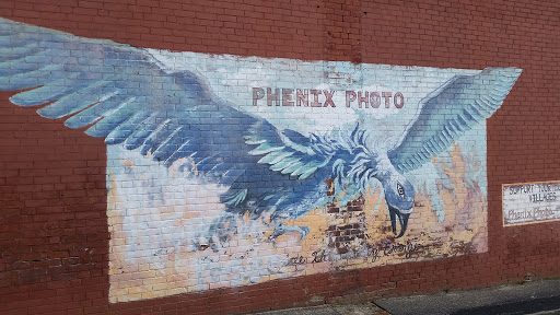 Phenix Photo Art Mural