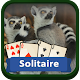 Download Solitaire Wild For PC Windows and Mac 1.01