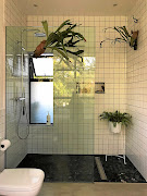 Two staghorn ferns and a Boston fern in the shower area.