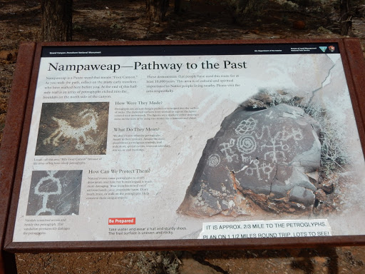 Nampaweap Is a Pauite word that means “Foot Canyon.”  As you walk the path, reflect on the many early travelers who have walked here before you. At the end of this half mile trail is an array of...