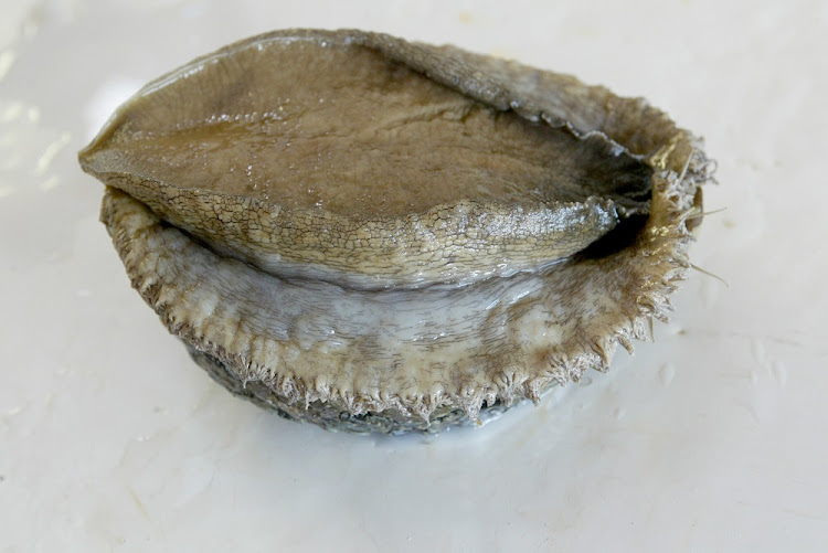 Abalone (aka Perlemoen) is one of the most highly-prized contraband of all.: