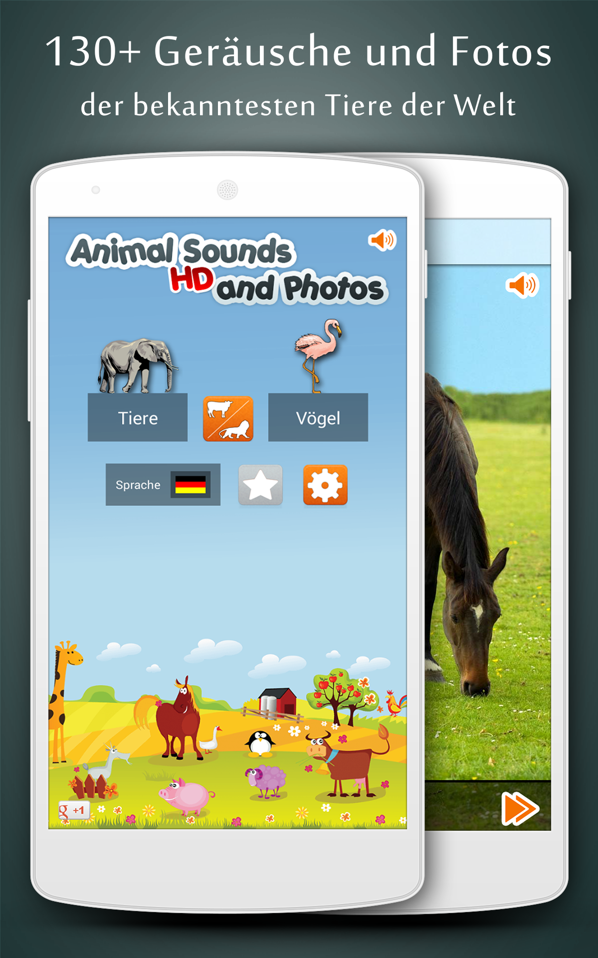 Android application Animal Sounds screenshort