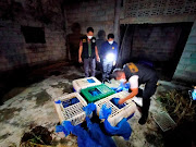 A police officer counts the monkeys found in bags in an abandoned house in Saraburi Province, Thailand February 17, 2022. 