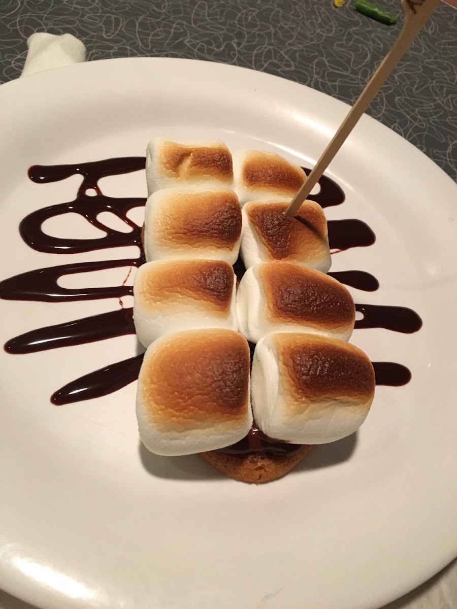 S'more dessert.  This was a must have.  Apparently, it is only available on the allergy menu.  So, we encountered a lot of looks while eating.  2/2016