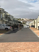 Police search the Benguela Beach residential complex.