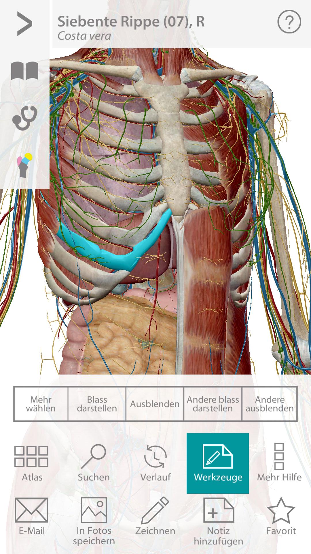 Android application Human Anatomy Atlas screenshort