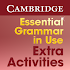 Essential Grammar  Activities2.1