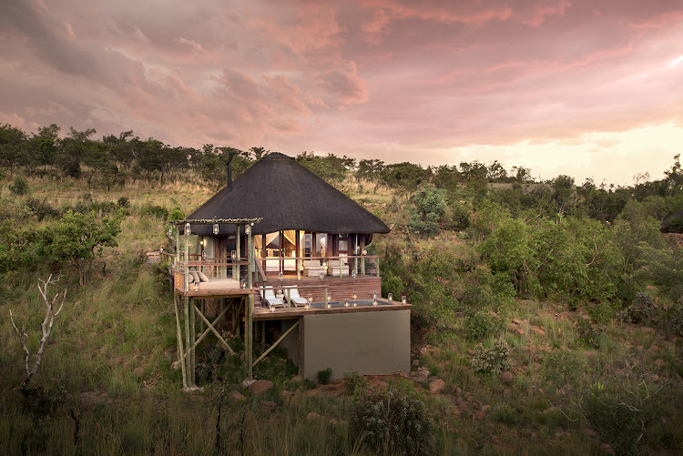 Mhondoro Safari Lodge & Villa in the Welgevonden Game Reserve.