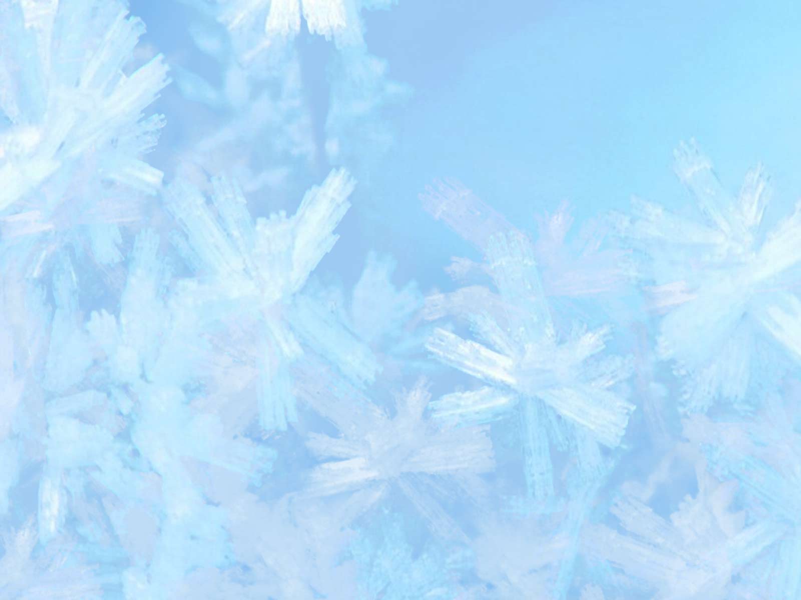 Background Images Background Images