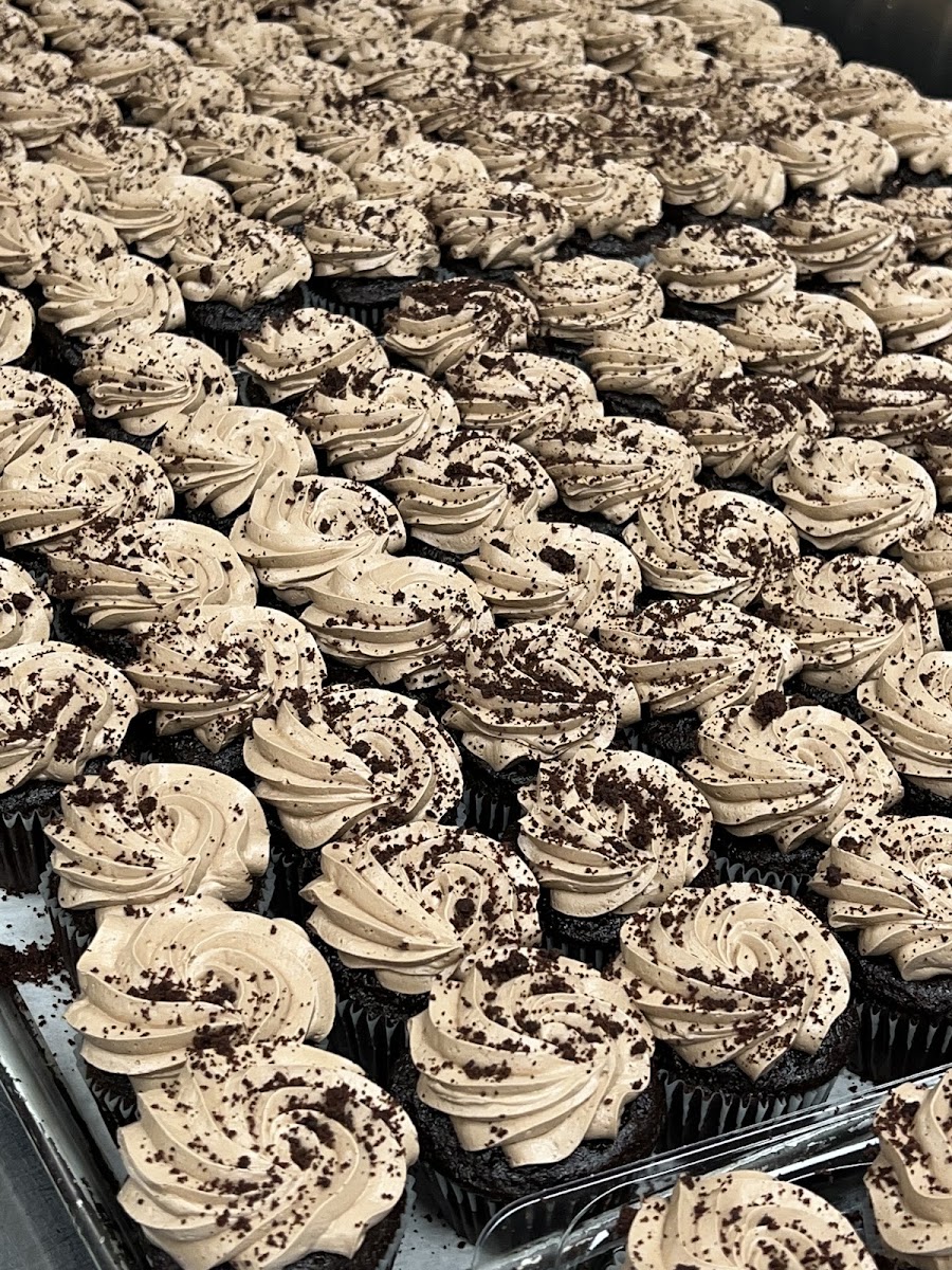 Chocolate cupcakes!
