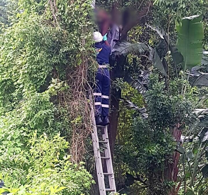 Paramedic Phumlani Jula helped the motorist who was stuck in a tree.