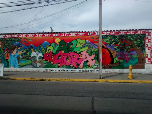 Graffity Ovalle Cultura 