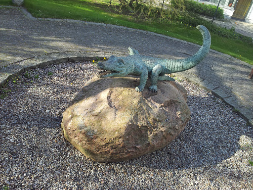 Krokodile auf dem Stein