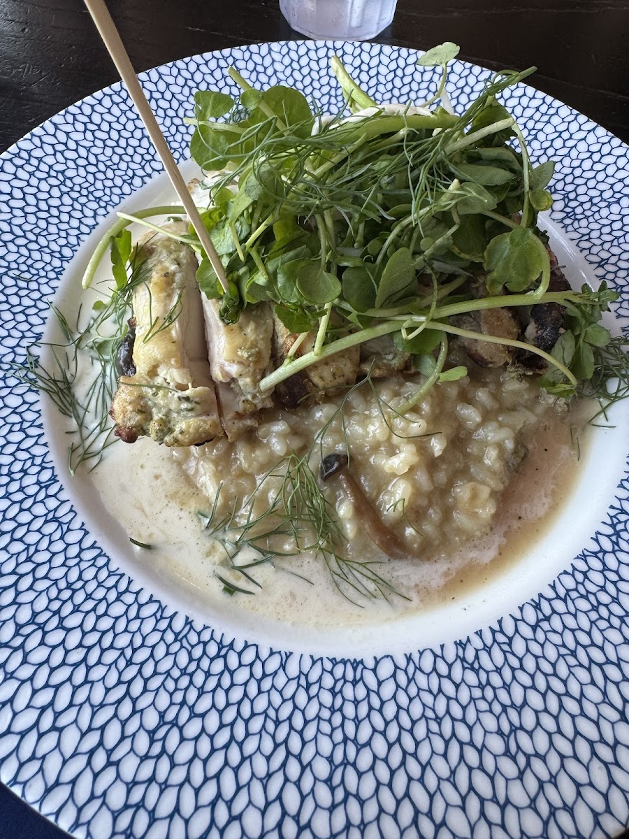 Marinated grilled chicken with mushroom and parmesan risotto