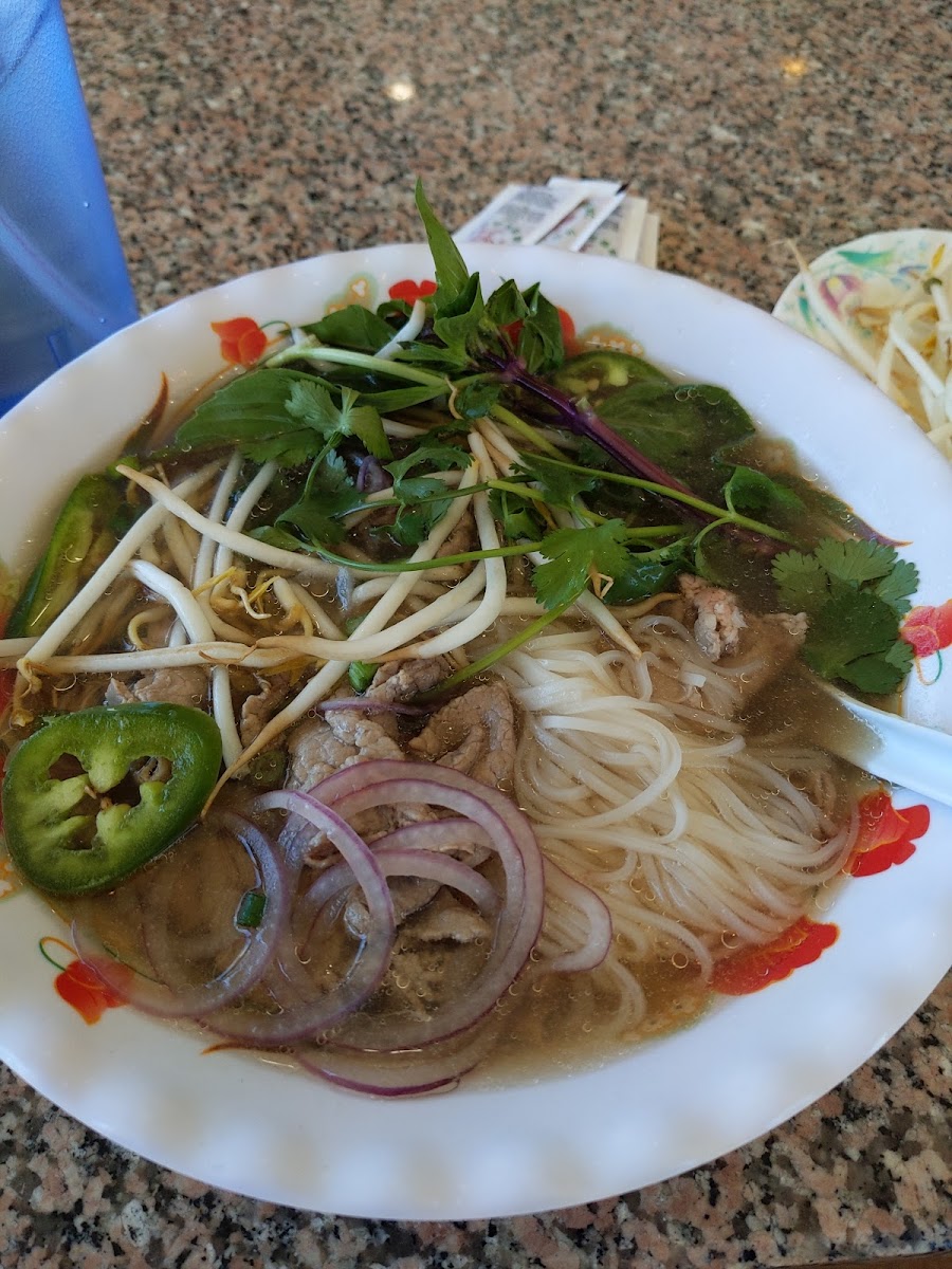Beef steak pho with all the garnishes