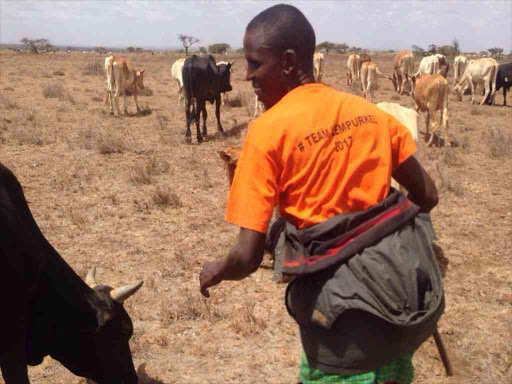 An invader on Suyian ranch in Laikipia county wearing a t-shirt with the name of Laikipia North MP Matthew Lempurkel, January 30, 2017. /COURTESY