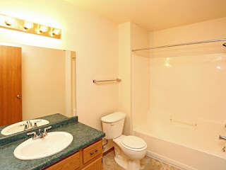 Pine Haven Apts Bathroom