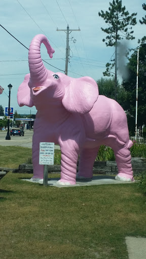 The Pink Elephant