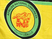 ANCYL logo. File photo