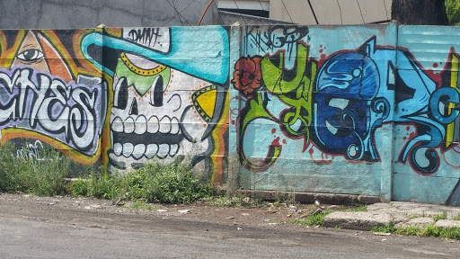 Mural De La Calavera