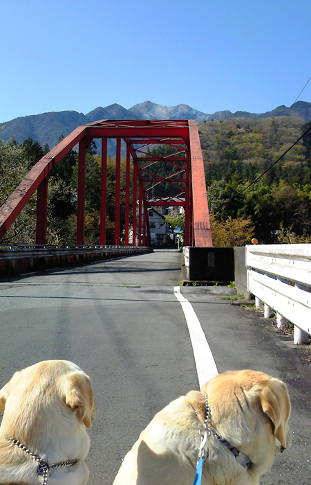 散歩途中平和橋