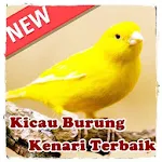 Kicau Burung Kenari Terbaru Apk