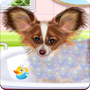 Download Papillon Puppy Care For PC Windows and Mac