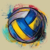 volleyball 3d 2017