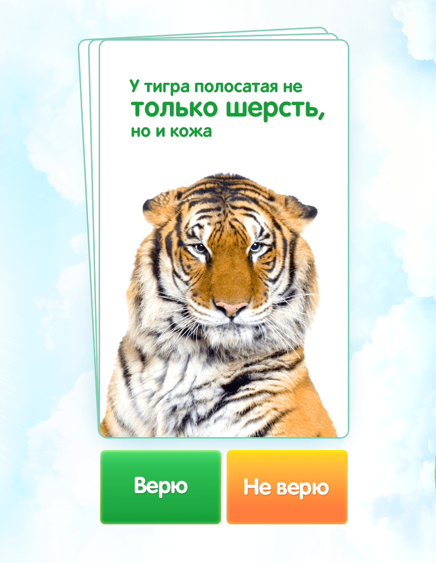 Android application Правда или нет? screenshort
