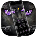 ダウンロード Black Evil Cat Dark Theme をインストールする 最新 APK ダウンローダ