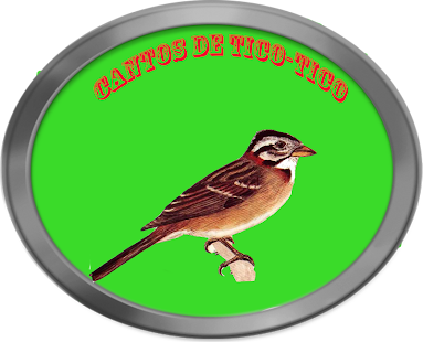 How to get Cantos de Tico-Tico 2 mod apk for android