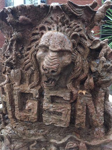 León En Piedra 