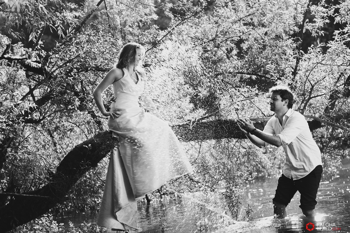 0016 - trash the dress - _P1A2072