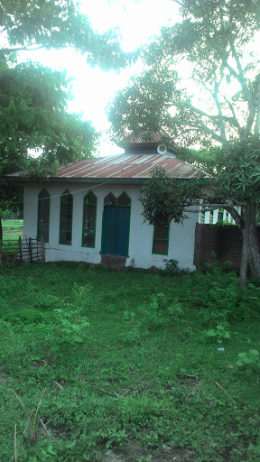 Mosque Green Small Mosque