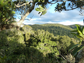 Lamington National Park