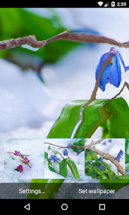 How to download Frost flowers Live Wallpaper patch 1.0 apk for laptop