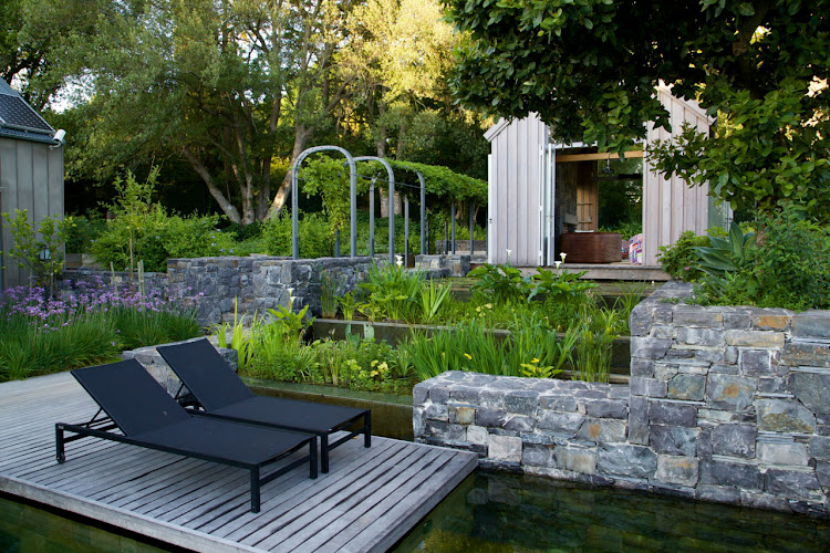 Modern home and garden with natural swimming pool, by Franchesca Watson.