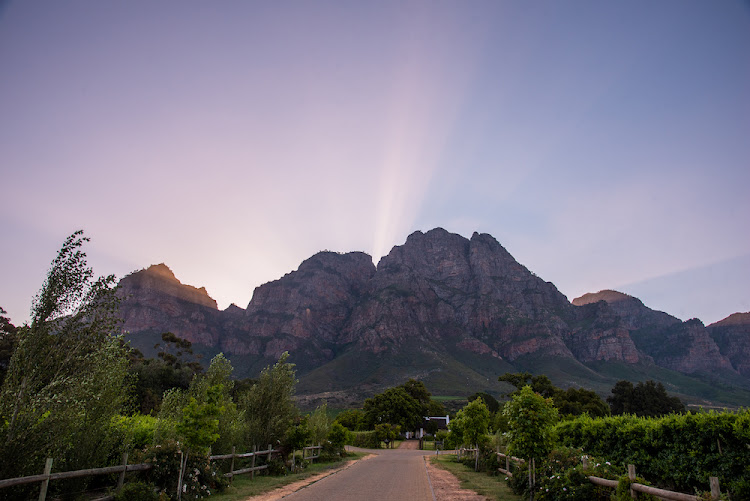 Boschendal boasts award-winning wine and food experiences, a rich heritage and spectacular natural landscapes. Picture: CLAIRE GUNN