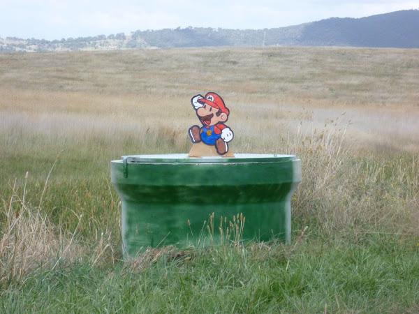 Mario on Gungahlin Drive