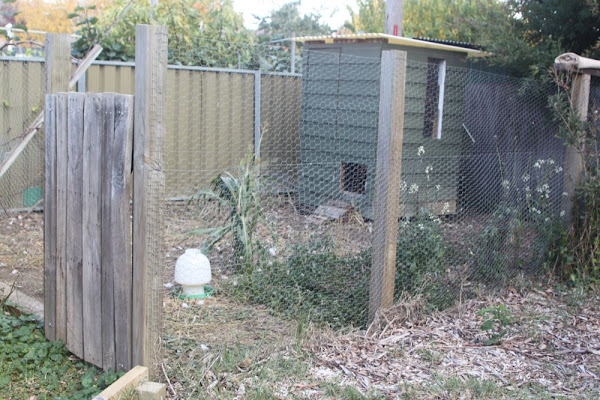 chicken coop