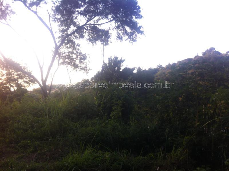 Terreno Residencial à venda em Jardim Glória, Juiz de Fora - MG - Foto 6